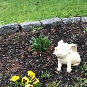 Meet your Posher, Helen